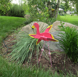 Fixed Flamingo